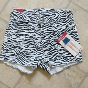 Woman's Zebra Short Shorts